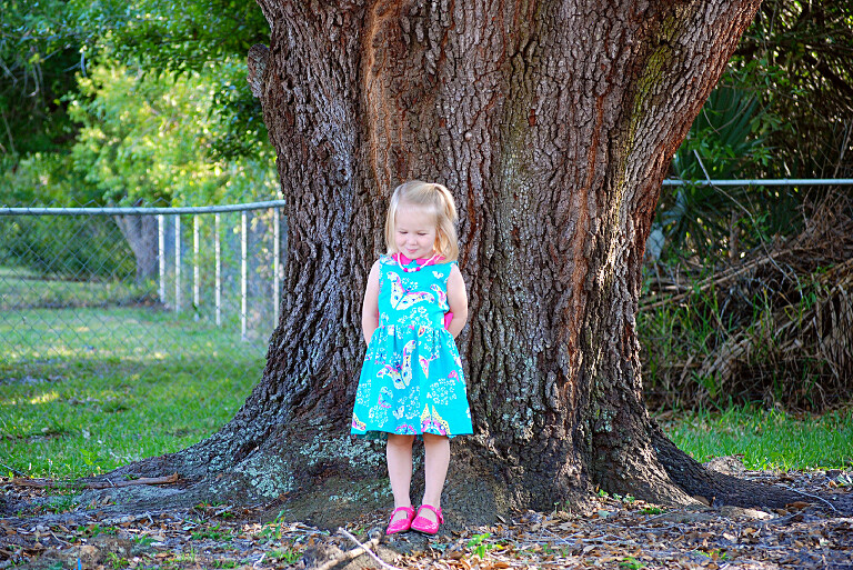 Fairy Tale Dress