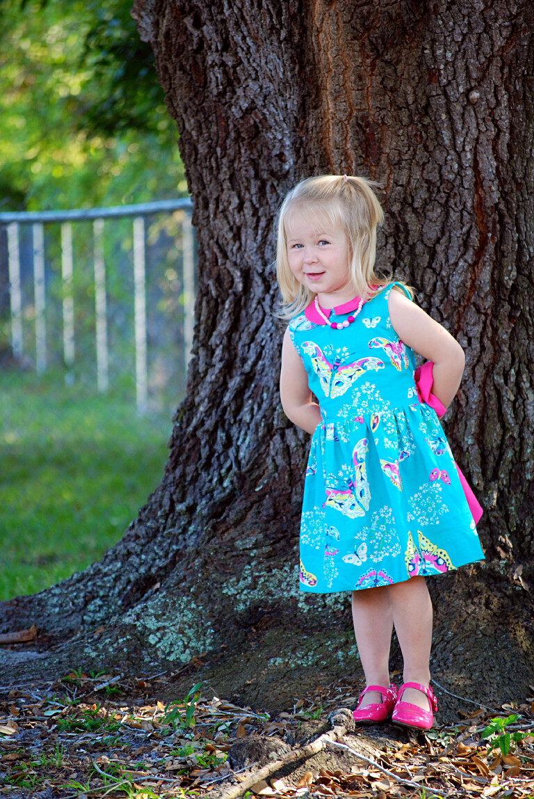 Fairy Tale Dress 3