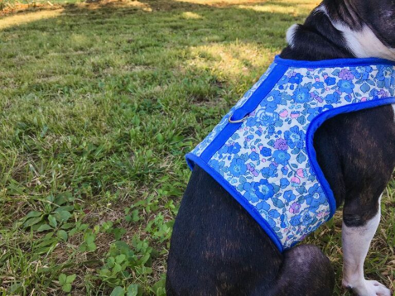 Diy dog outlet harness pattern