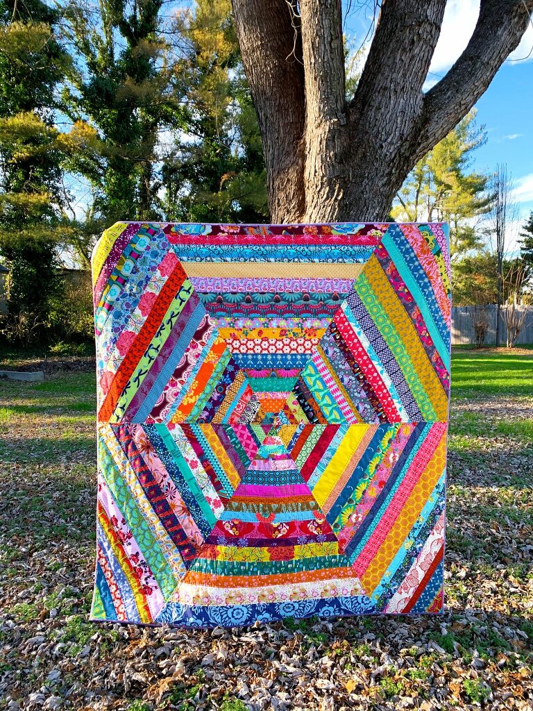 Anna Maria Horner Hex Strip Quilt 